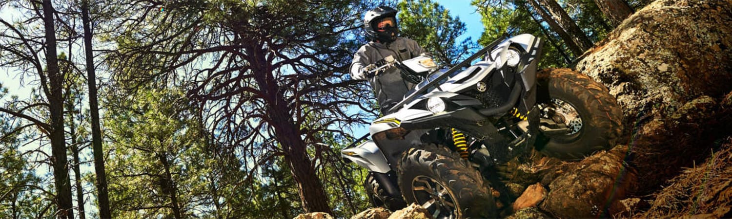 2017 Yamaha Grizzly for sale at WSL Sport & Leisure in Winnipeg,Manitoba